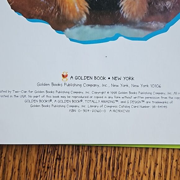 Totally Amazing Spiders by Golden Books 1998 Childrens Book 7-11 year old reader - Picture 8 of 8